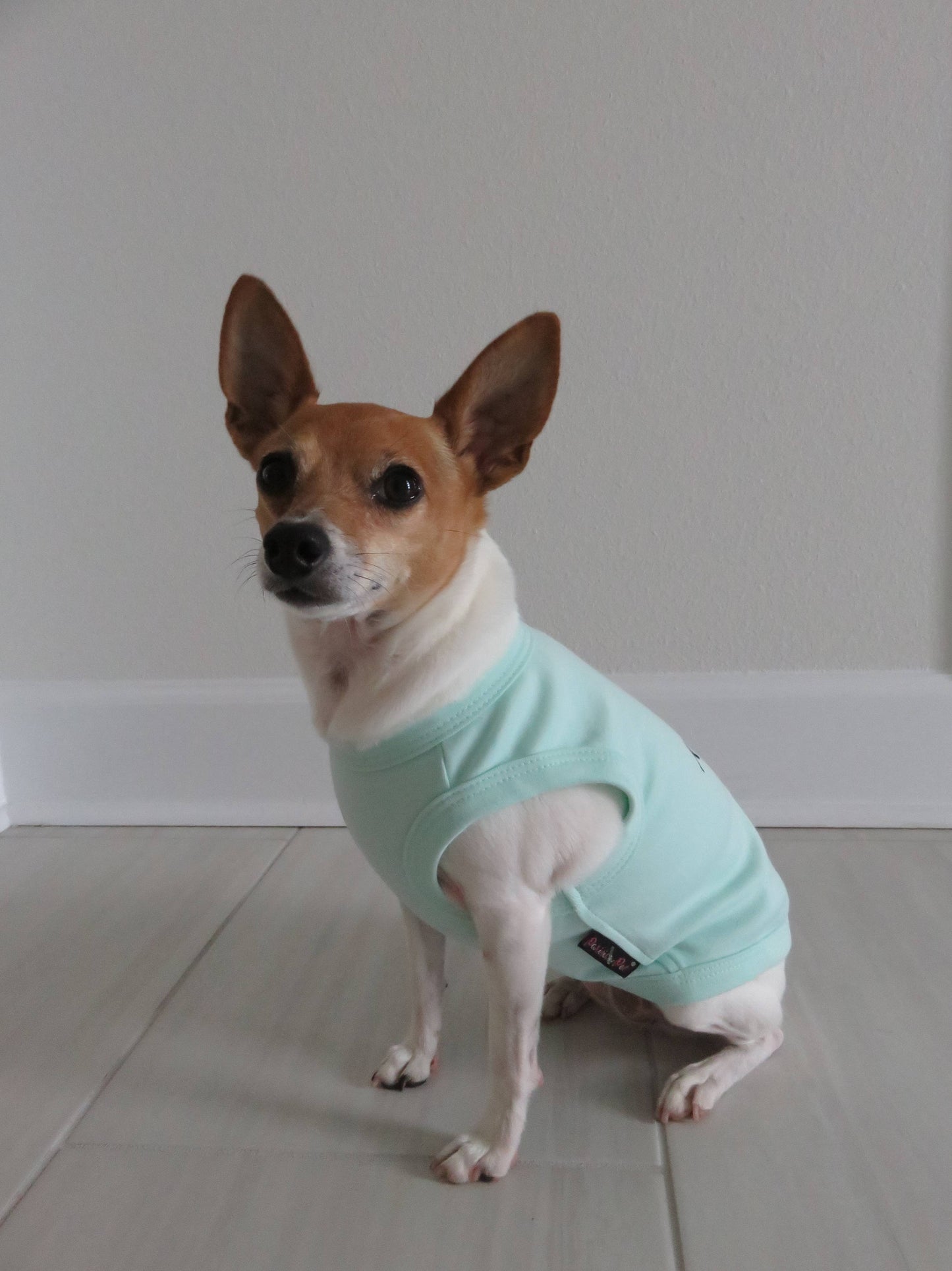 🐶 Birthday Boy Shirt for Dogs