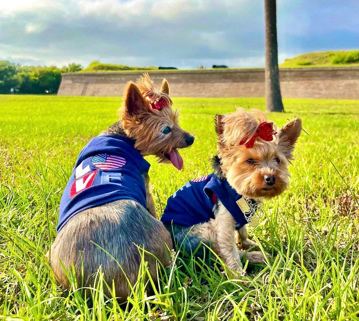 🐶 LOVE USA Shirt for Dogs