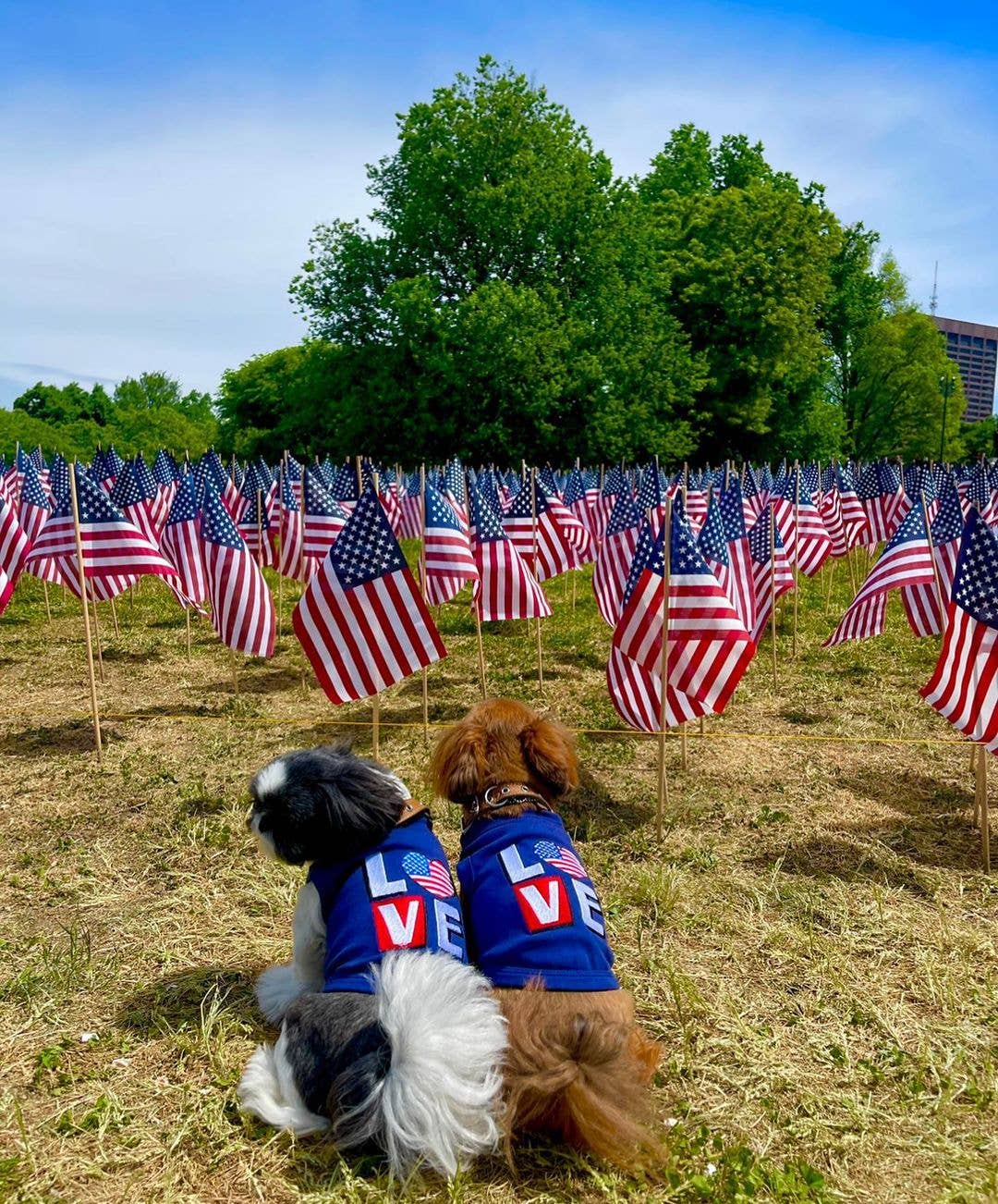 🐶 LOVE USA Shirt for Dogs
