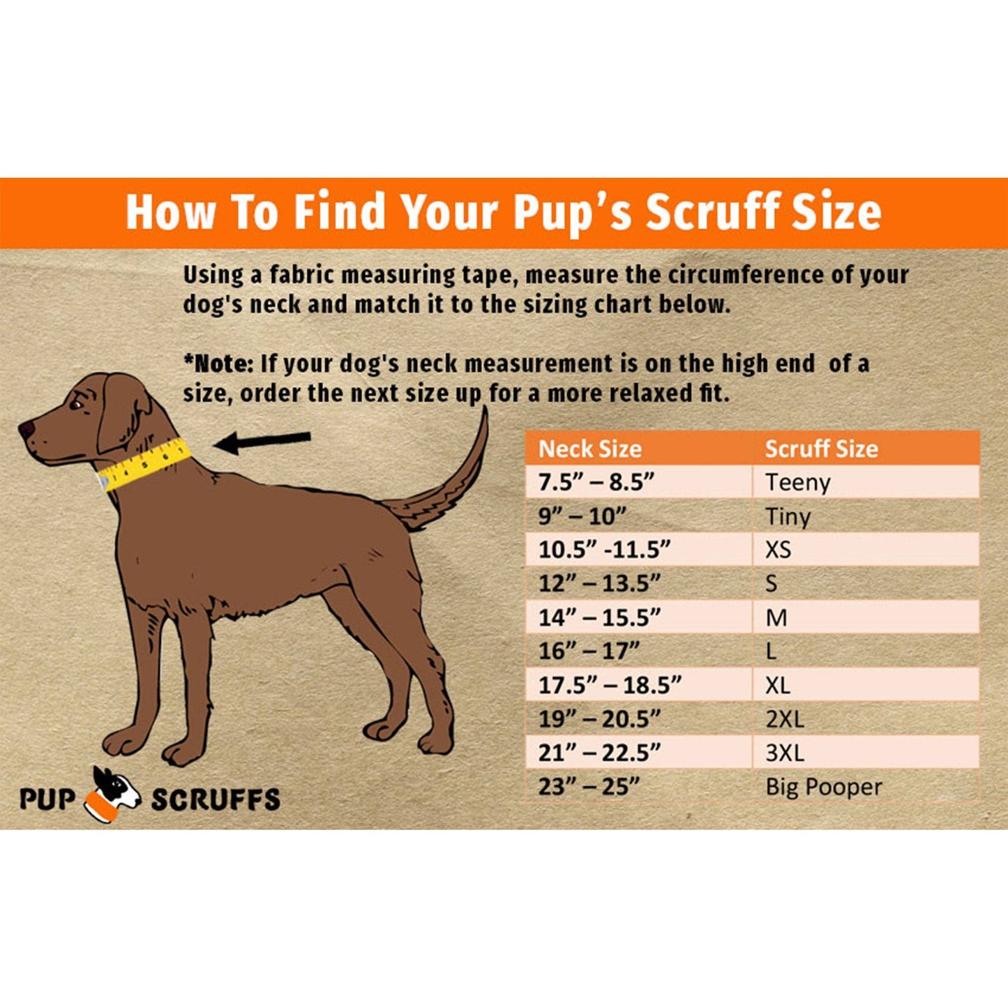 🐶 Zoomies Pup Scruff for Dogs