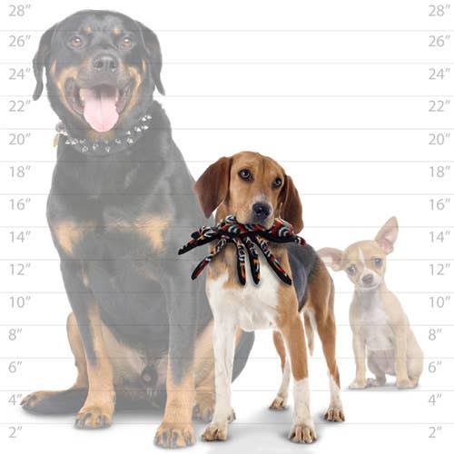 🐶 Tuffy Desert Tarantula, Tough, Durable Toy for Dogs