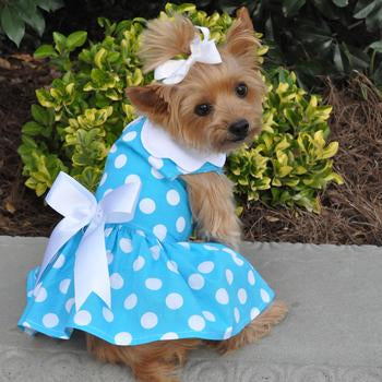 🐶 Blue Polka Dot Dress with Matching Leash for Dogs