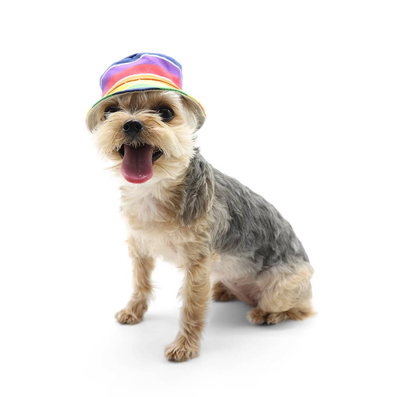 🐶 Rainbow Bucket Hat for Dogs