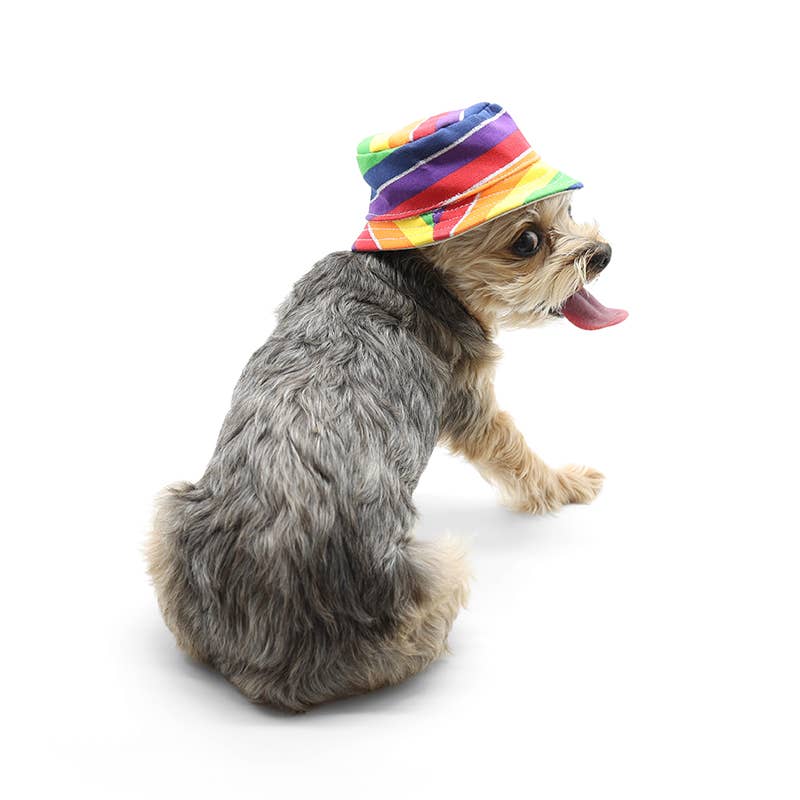 🐶 Rainbow Bucket Hat for Dogs