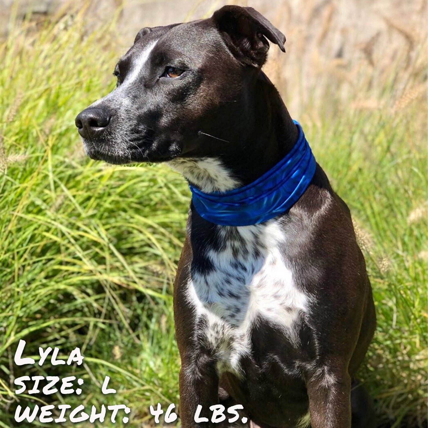 🐶 Blue Abstract Pup Scruff for Dogs