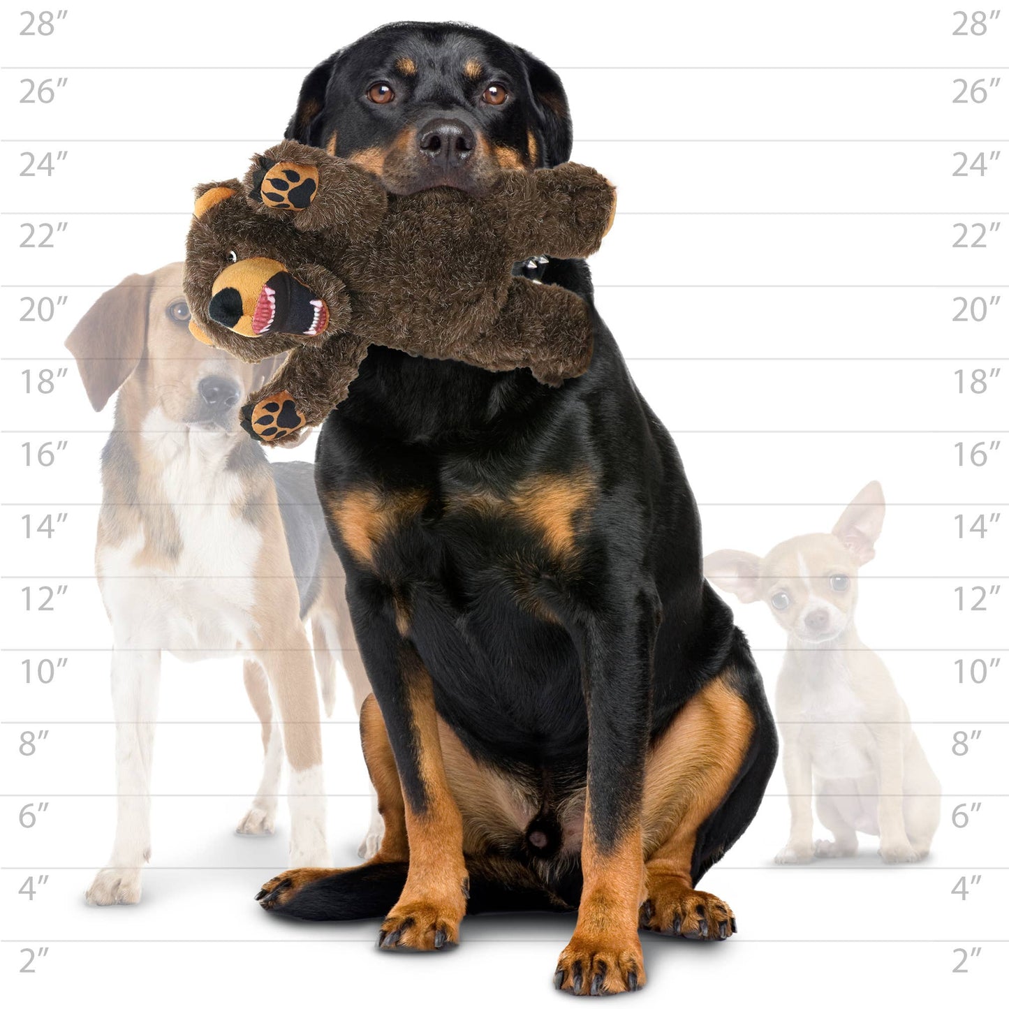 🐶 Mighty Angry Animals Bear, Plush, Squeaky Toy for Dogs