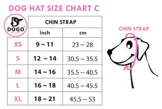 🐶 Rainbow Bucket Hat for Dogs