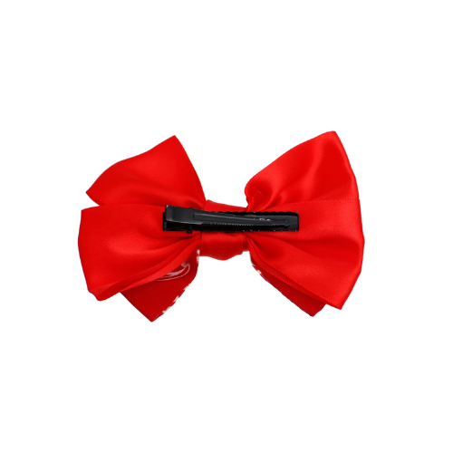 🐶 Paisley Hair Bow for Dogs