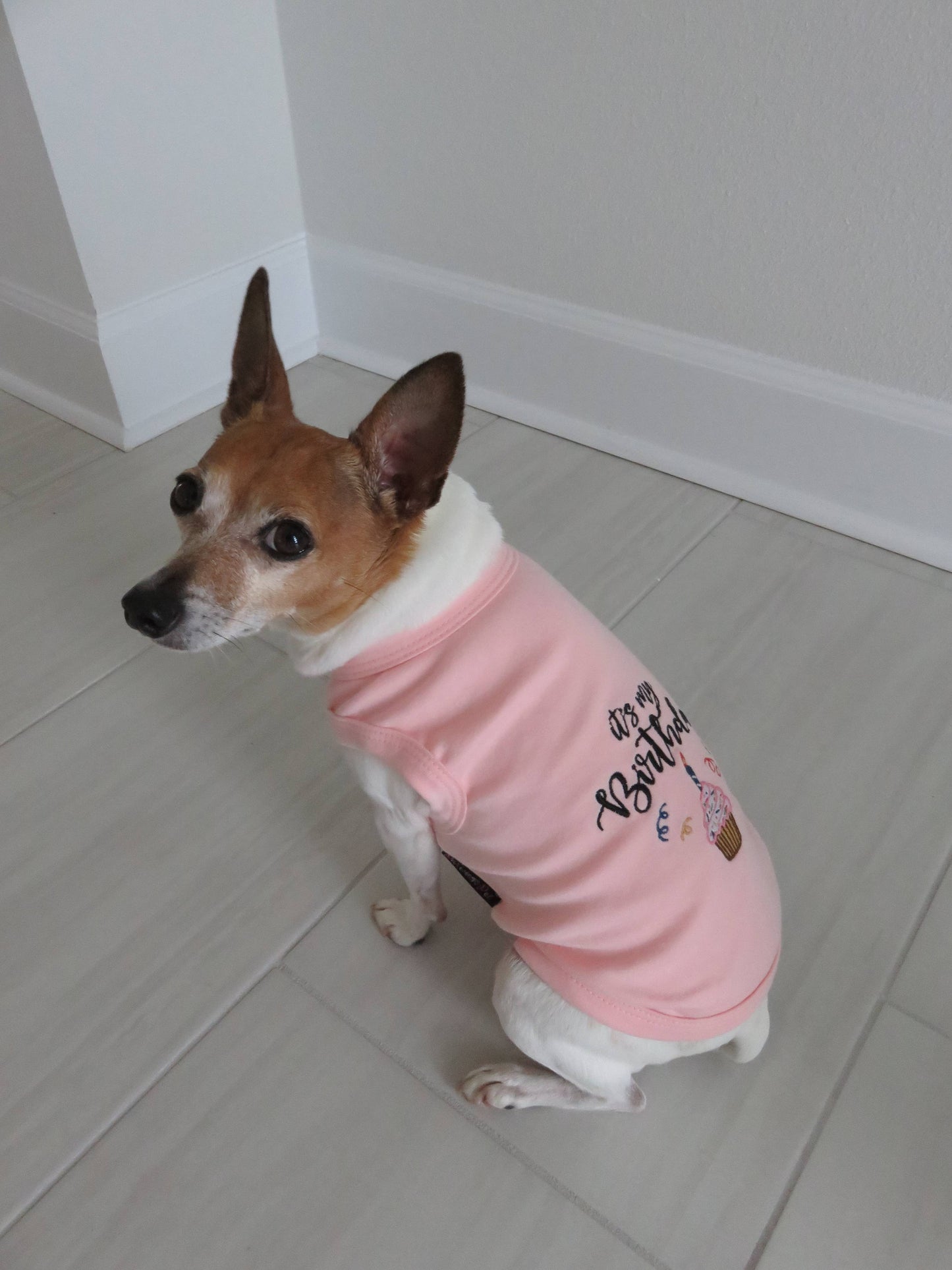 Birthday Girl Dog T-Shirt