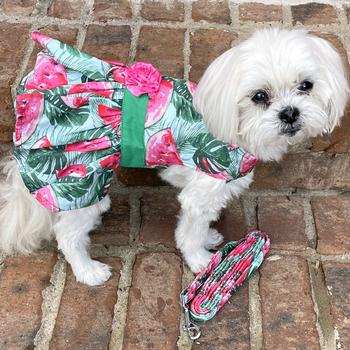 Juicy Watermelon Dog Dress with Matching Leash