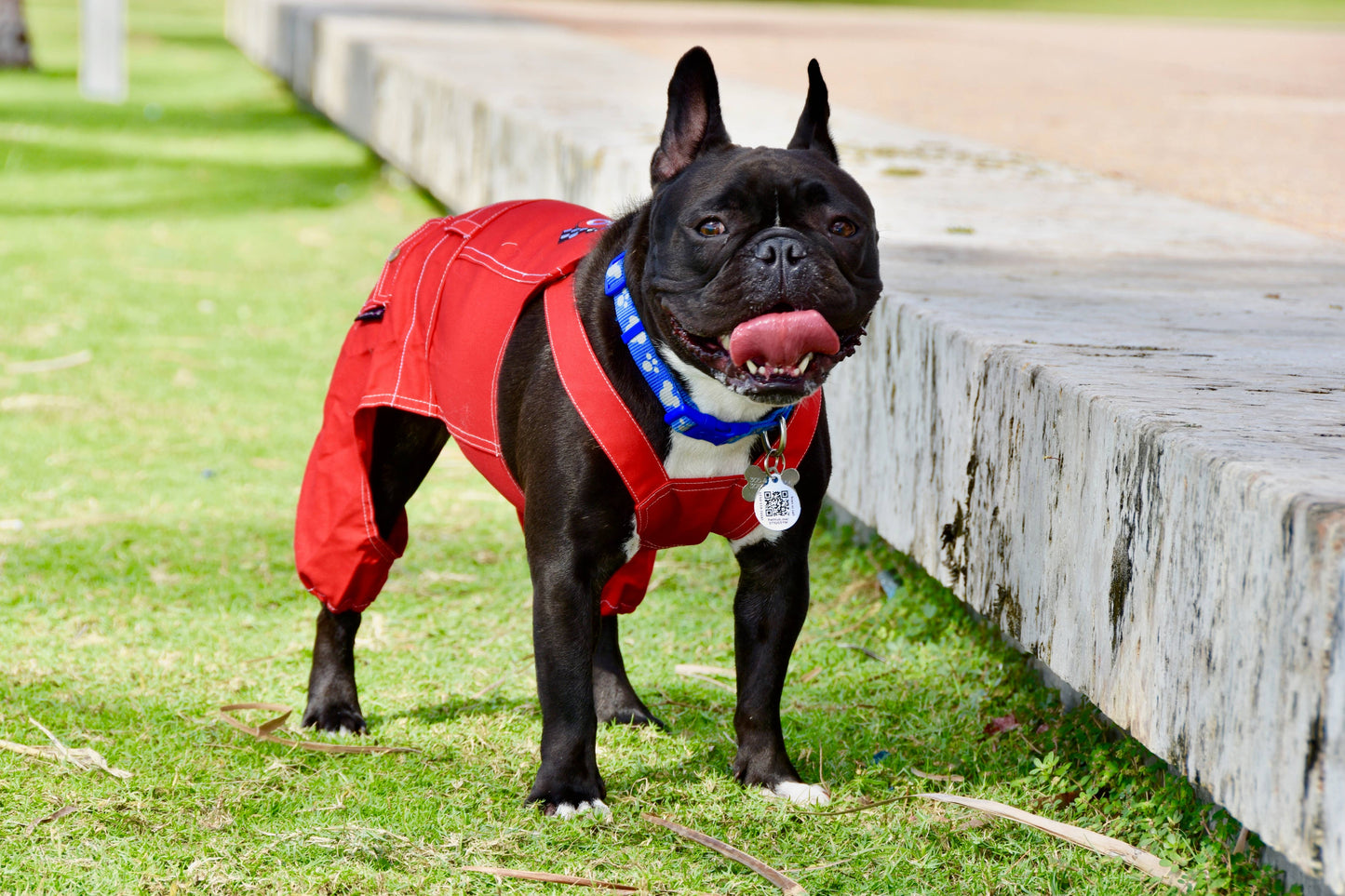 Dog Route 66 Jumpsuit