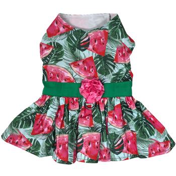 Juicy Watermelon Dog Dress with Matching Leash