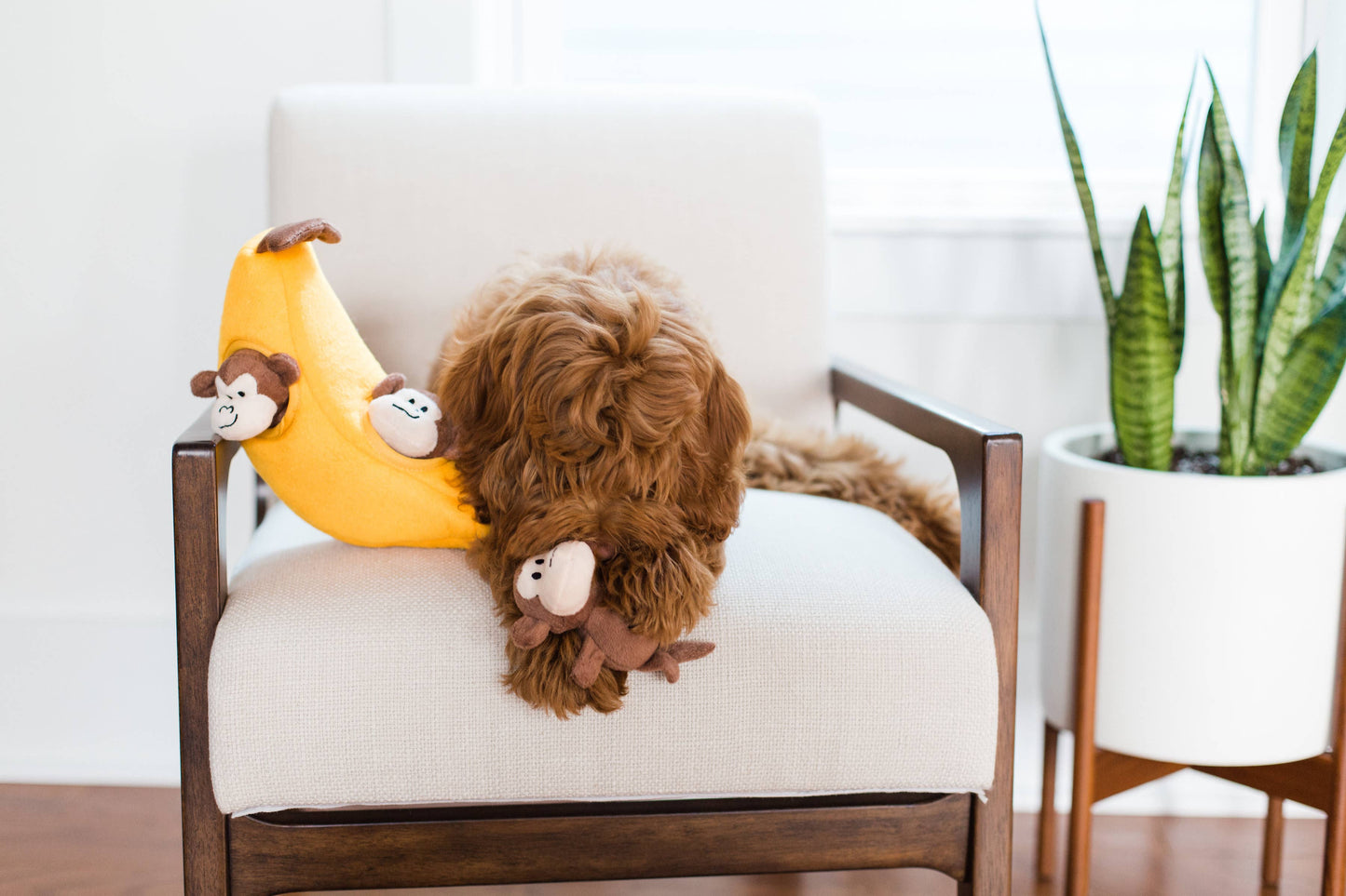 Zippy Burrow® - Monkey 'n Banana - Plush Dog Toy