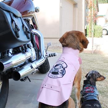 Biker Dawg Motorcycle Dog Jacket