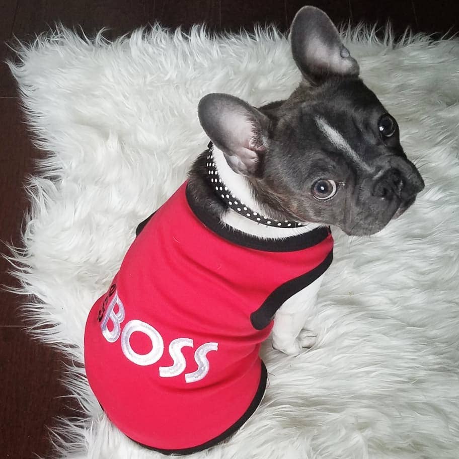 The Boss Dog T-Shirt