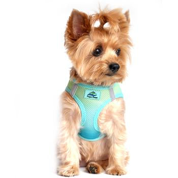 American River Choke Free Dog Harness Ombre Collection - Aruba Blue