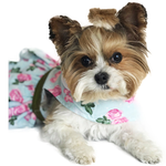 Pink Rose Harness Dog Dress with Matching Leash