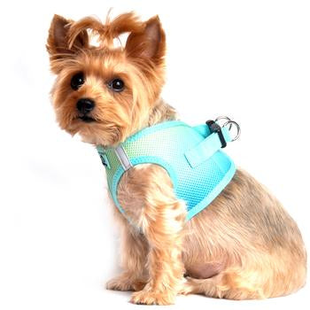 American River Choke Free Dog Harness Polka Dot Collection - Teal Polka Dot