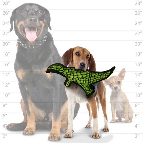 Tuffy Jr Dinosaur T-Rex, Durable, Squeaky Dog Toy