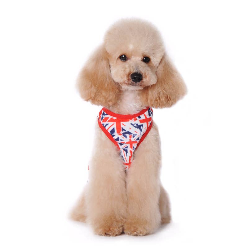 Dog Union Jack Tank