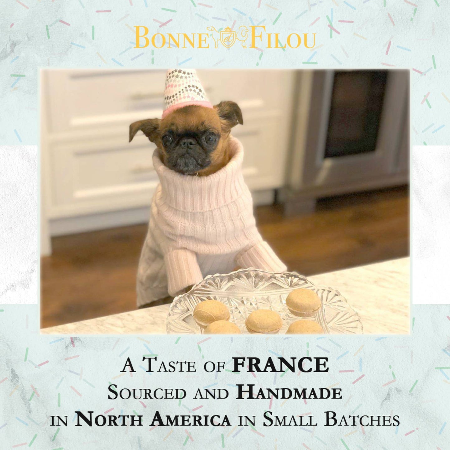 Dog Macarons | Treats (single macaron in gift box)