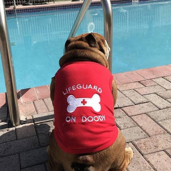 Lifeguard On Doody Dog T-Shirt