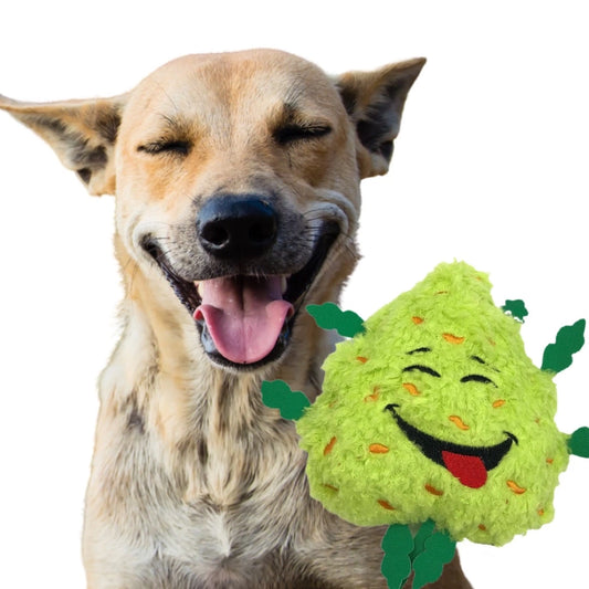 Bud the Weed Nug 420 Dog Toy