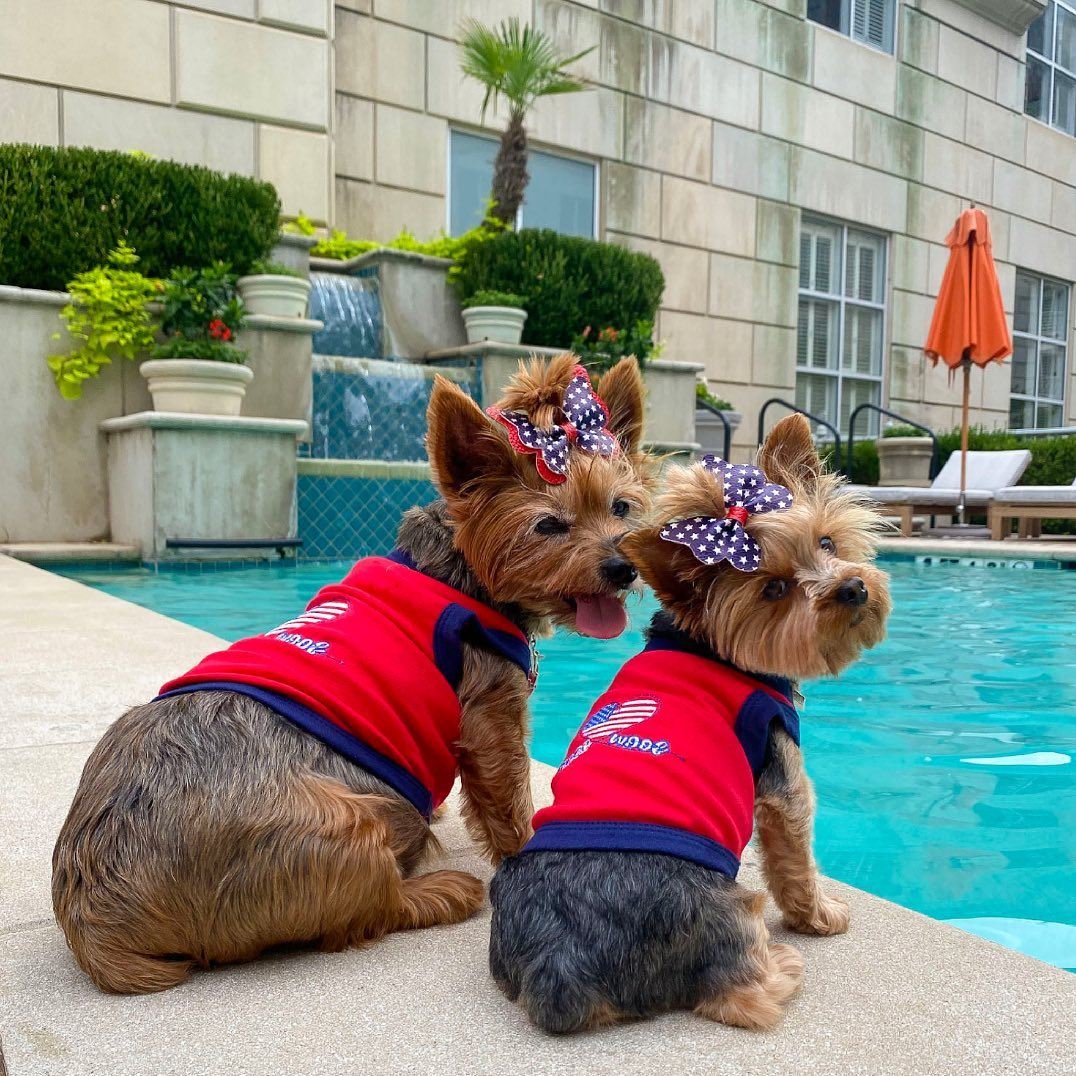 Peace, Love, Woof - Dog Shirt