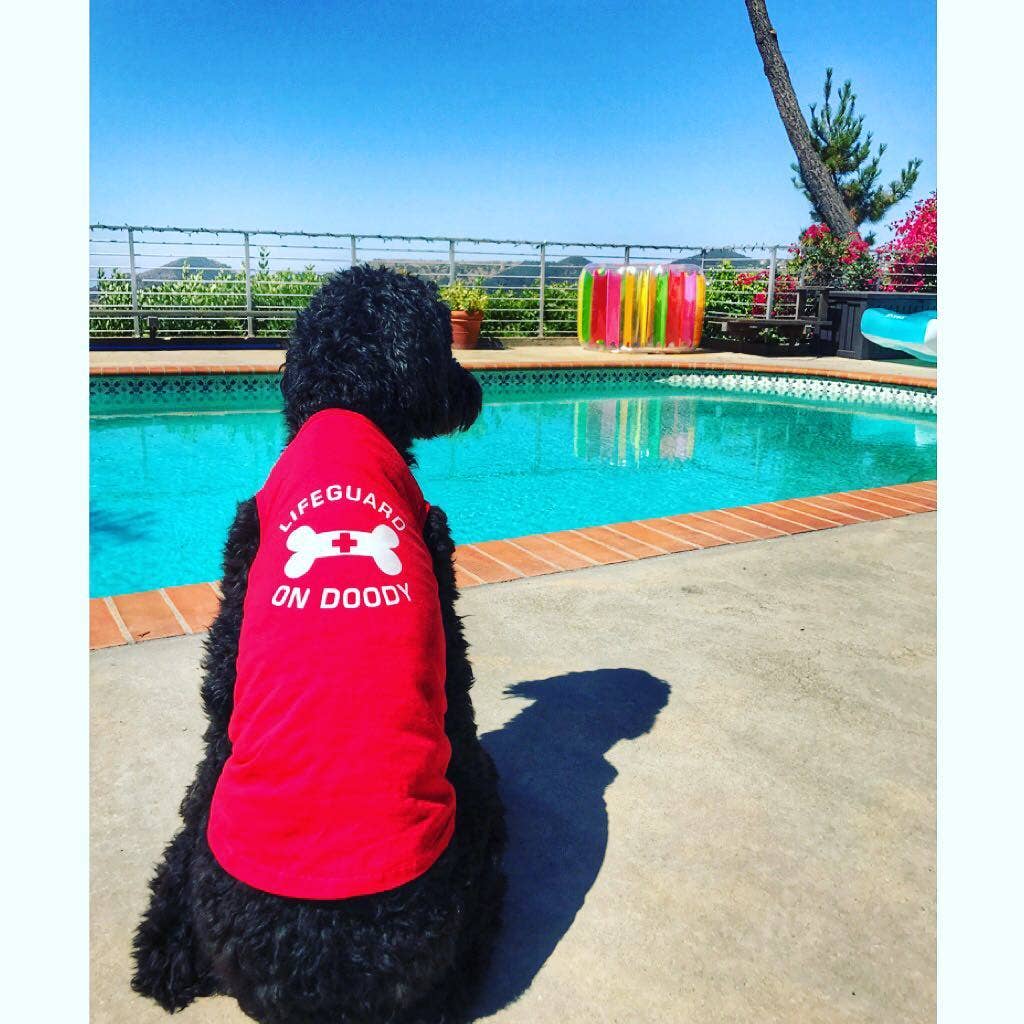 Lifeguard On Doody Dog T-Shirt