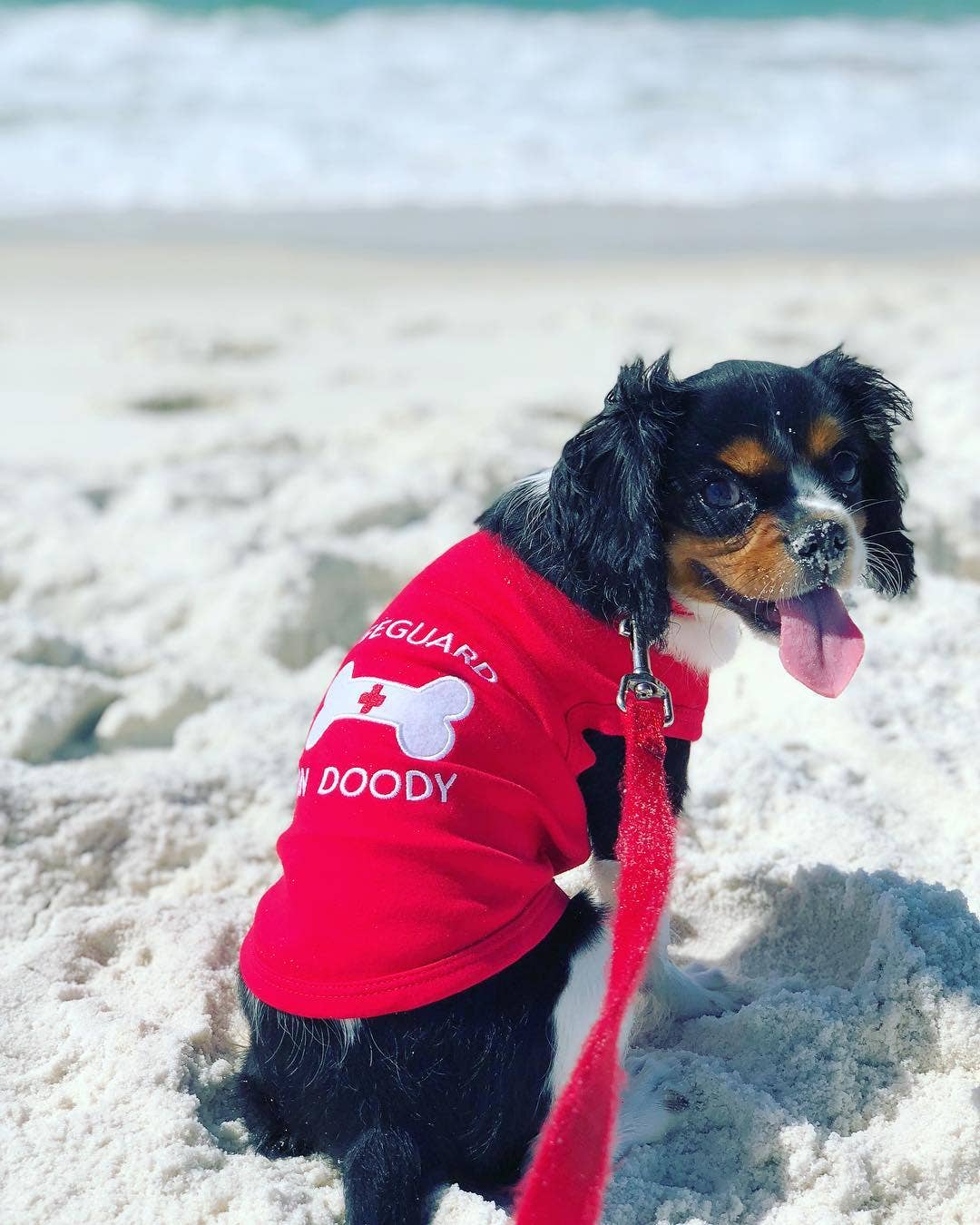 Lifeguard On Doody Dog T-Shirt