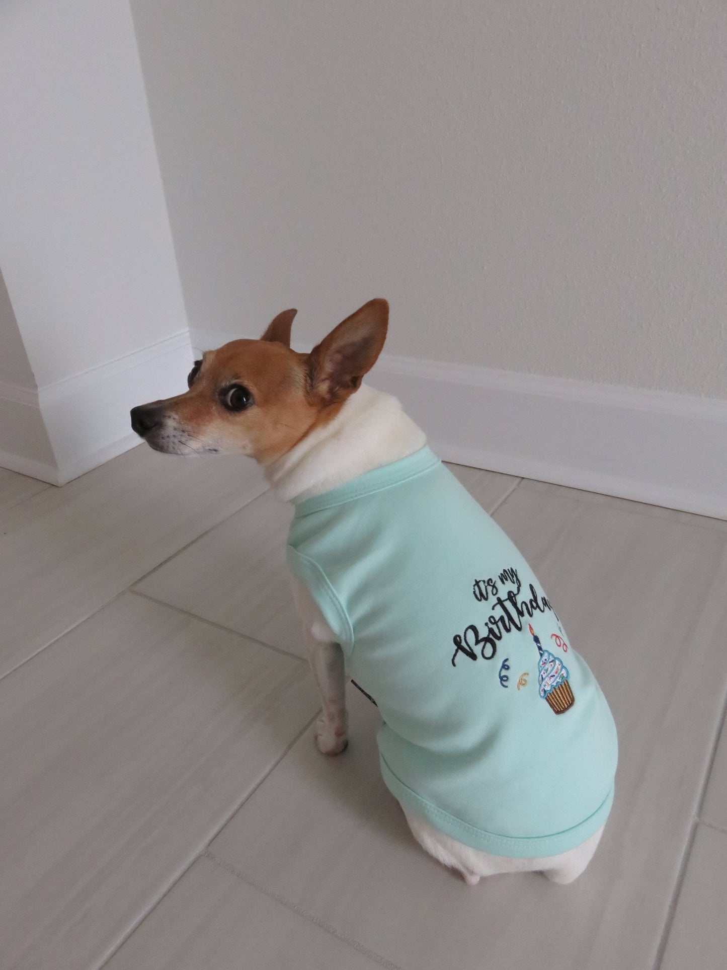 Birthday Boy Dog T-Shirt