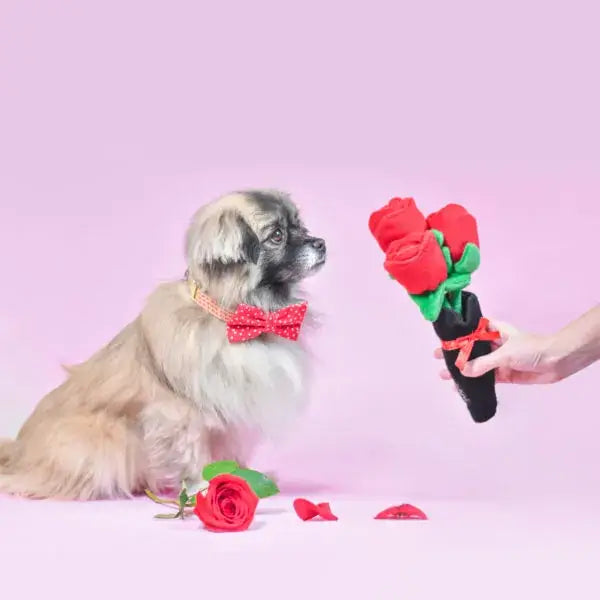 Bouquet of Roses - Plush Dog Toy