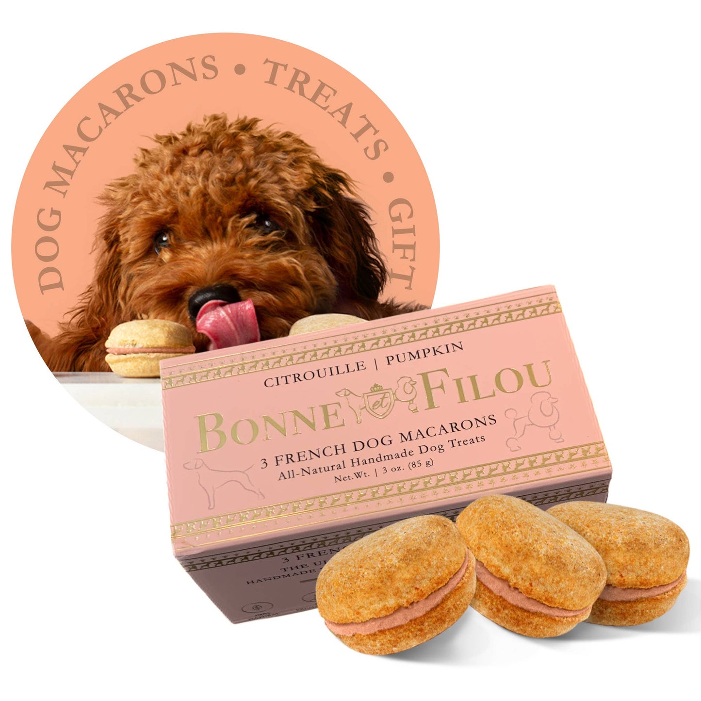 3-ct Peanut Butter Macaron Dog Treats Gift