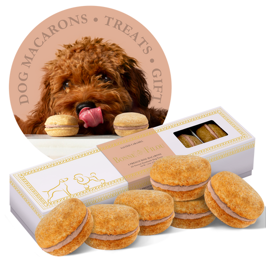 6-ct Peanut Butter Macaron Dog Treats Gift