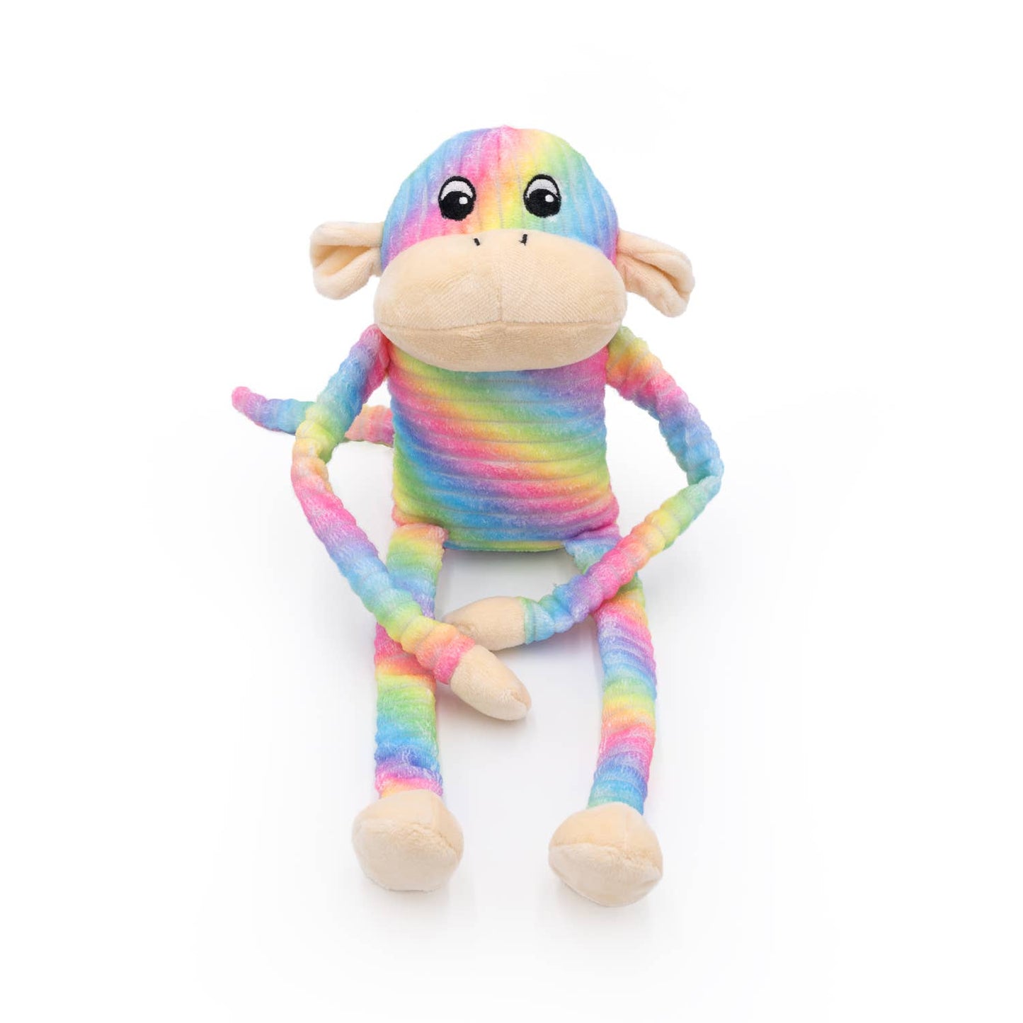 Spencer the Crinkle Monkey - Large Rainbow - Plush Dog Toy